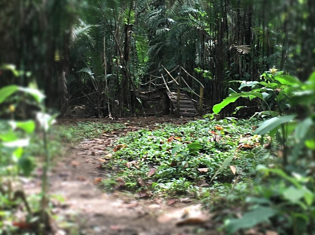 Hotel Samsara ウビタ エクステリア 写真