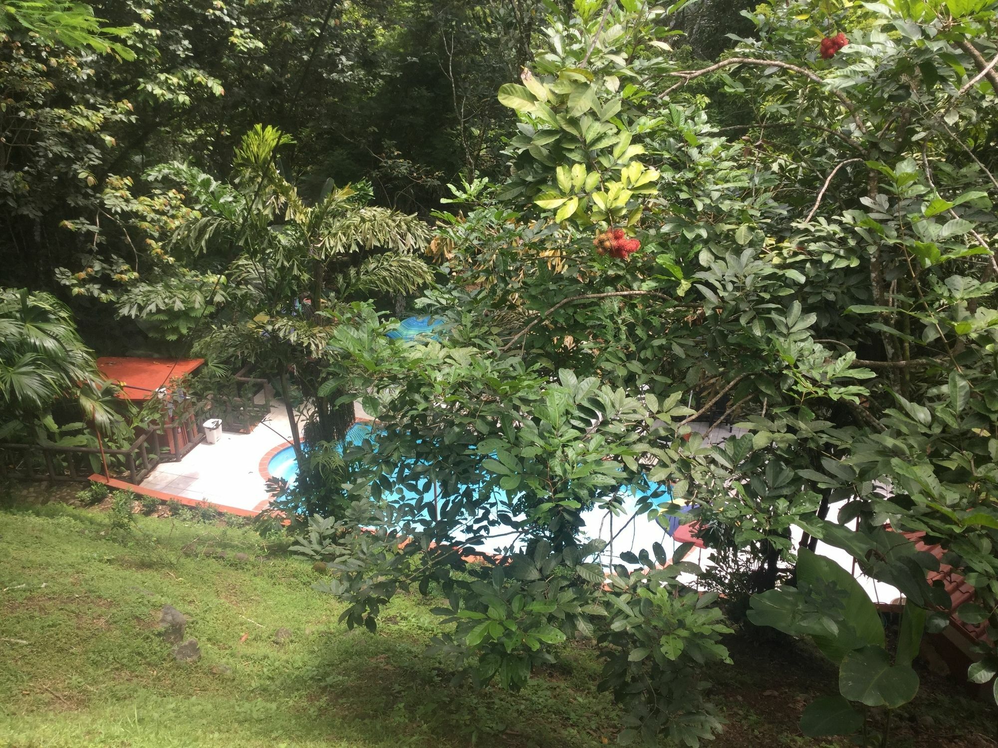 Hotel Samsara ウビタ エクステリア 写真